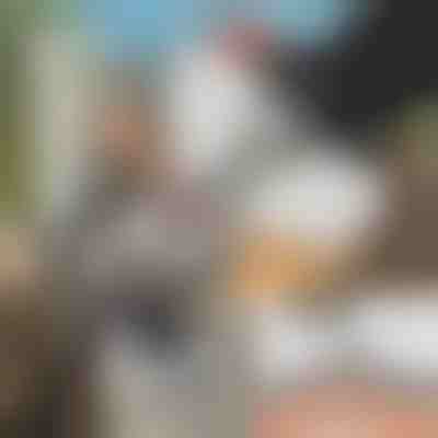 Ferramenta de afiação especial para motosserras + lixadeira GRINNEX