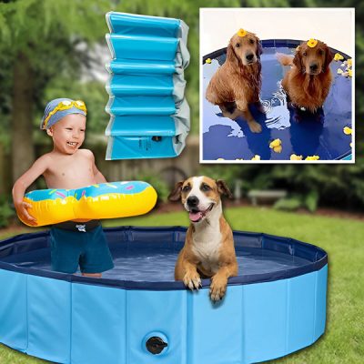 Piscina Dobrável Para Animais de Estimação | FOLDIPOOL