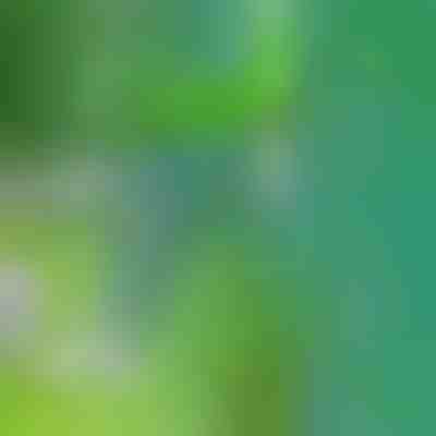 Uma ferramenta para remover ervas daninhas | SPINOUT