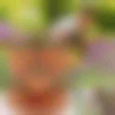 Vasos para flores reguláveis (3x peças) | PLANTUP