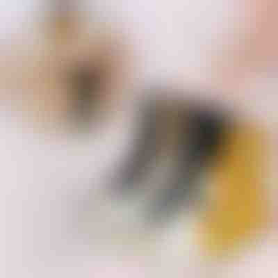 Meias com patas de gato (3 unid.) | GATOSOCKS